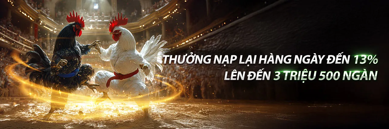 Chương trình VIP độc quyền hbet đăng nhập, trải nghiệm cá cược đẳng cấp